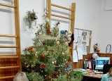 21-12-2016-vanoce-2016_13.jpg