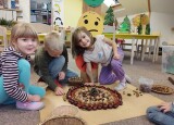 IMG_20241016_081634.jpg